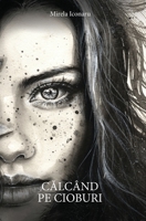 Calcand pe cioburi null Book Cover
