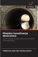 Miejska kanalizacja deszczowa (Polish Edition) 6209502393 Book Cover