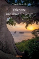 Valériane, une drôle d’histoire (French Edition) 2414144718 Book Cover