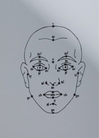 Megan Williams and Sheung Yiu: (Inter)Faces of Predictions 3959059752 Book Cover