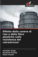 Effetto della cenere di riso e delle fibre plastiche sulla resistenza del calcestruzzo (Italian Edition) 6207790995 Book Cover