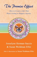 The Promise Effect: How to Create a Life That Wasn't Going to Happen Anyway 0971586233 Book Cover