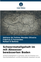 Schwermetallgehalt im mit Abwasser bewässerten Boden (German Edition) 6207444019 Book Cover