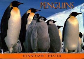 Penguins: 23 Postcards 0890877645 Book Cover