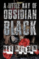 A Little Ray of Obsidian Black 0244695180 Book Cover