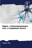 Ядро, стимулирующее сон, в среднем мозге 6204091603 Book Cover