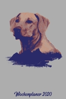 Wochenplaner 2020: Wochenplaner zum notieren, organisieren und planen ca. DIN A5 6x9. Kalender / Terminkalender / Monats- / Tages�bersicht / Kontakt- / Geburtstags listen / Design: Labrador Hund Golde 1678381950 Book Cover