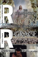The Culmination of God's New Covenant of Grace null Book Cover
