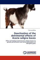 Deactivation of the detrimental effects of Acacia saligna leaves: Effect of feeding treated Acacia saligna leaves on growth performance and carcass parameters of Abergelle goats 3659151467 Book Cover