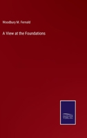 A View at the Foundations 3752586699 Book Cover