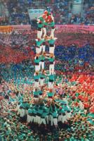 Nella trappola della sua coscienza 1530081238 Book Cover