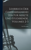 Lehrbuch Der Gehirnkrankheiten Fur Aerzte Und Studirende, Volumes 2-3 1017663912 Book Cover
