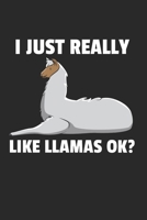 Lama Alpaka Notizbuch: Lama Alpaka Notizbuch f�r Liebhaber / Notizheft / Notizblock A5 (6x9in) Dotted Notebook / Punkteraster / 120 gepunktete Seiten 1673911536 Book Cover