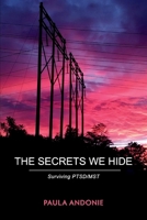 The Secrets We Hide: Surviving PTSD/MST 1667824333 Book Cover