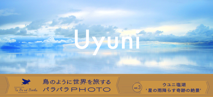 Uyuni Photo Flip Book 4902097834 Book Cover