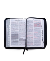 Rv-60 Biblia de Promesas - Tamao Manual- Edicin Negro Imitacin Piel Con ndice + Cierre 0789925591 Book Cover