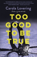 Too Good to Be True 1250271371 Book Cover