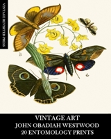 Vintage Art: John Obadiah Westwood 20 Entomology Prints: Fauna and Flora Ephemera for Framing, Collage and Decoupage 100647692X Book Cover