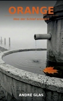Orange: Was der Schlaf erinnert (German Edition) 3695750278 Book Cover