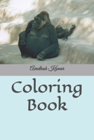 Coloring Book B0C6BYVT95 Book Cover
