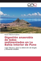 Digesti�n anaerobia de lodos sedimentados en La Bah�a Interior de Puno 6139105528 Book Cover