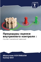 Процедуры оценки внутре& 6205298449 Book Cover