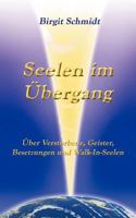Seelen im Übergang: Über Verstorbene, Geister, Besetzungen und Walk-In-Seelen 3842349106 Book Cover