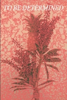 TO BE DETERMINED B08BGCM3JG Book Cover