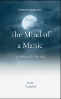 The Mind of a Manic A Window To The Soul 9363308057 Book Cover