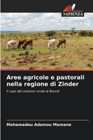 Aree agricole e pastorali nella regione di Zinder: Il caso del comune rurale di Bouné 620415804X Book Cover
