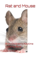 Rat and Mouse: Brim Children's Playtime Coloring Book B096HQ5ZBC Book Cover