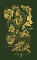 It Is All Equally Fragile 1949759806 Book Cover