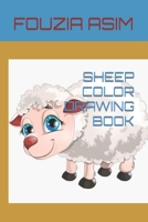 SHEEP COLOR DRAWING BOOK B09TFYK34J Book Cover