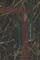 Blobi (Spanish Edition) B0H25YWCYP Book Cover