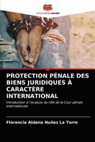 PROTECTION PÉNALE DES BIENS JURIDIQUES À CARACTÈRE INTERNATIONAL: Introduction à l'analyse du rôle de la Cour pénale internationale 620359248X Book Cover