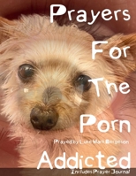 Prayers For The Porn Addicted B0F3TWQDJ7 Book Cover