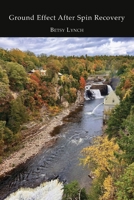 Ground Effect After Spin Recovery B0FWTK6LBN Book Cover