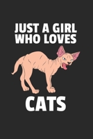 Katze K�tzchen Notizbuch: Katze K�tzchen Notizbuch f�r Liebhaber / Notizheft / Notizblock A5 (6x9in) Dotted Notebook / Punkteraster / 120 gepunktete Seiten 1673814662 Book Cover