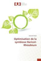 Optimisation de La Symbiose Haricot-Rhizobium 3841671675 Book Cover