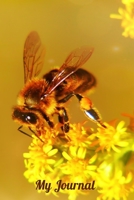 My Journal: Honey Bee Design - A 6 x 9 100 page journal to record all of the amazing things that happen in your life. 1700563157 Book Cover
