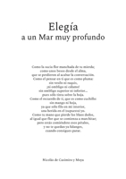 Elegía a un Mar muy profundo 8411231402 Book Cover