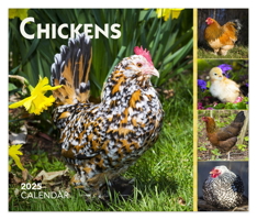 Chickens 2025 6 X 5 Inch Daily Desktop Box Calendar New Page Every Day 1975483421 Book Cover