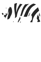 Safari Nashorn: Wochenplaner Januar bis Dezember 2020 - 1 Woche auf einen Blick - DIN A5 Monatsplaner Jahresplaner Jahr Terminplaner Checklisten & ... Wildtier Fell Umriss Leopard (German Edition) 1678659428 Book Cover