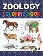 Zoology Coloring Book: Incredibly Detailed Self-Test Zoology Coloring Book for Veterinary Anatomy Students | Zoology Self test Guide for Anatomy ... Coloring and Activity Book for Boys & Girls. B08VYBNCDP Book Cover