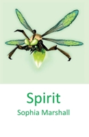 Spirit B0BTRKRGTQ Book Cover