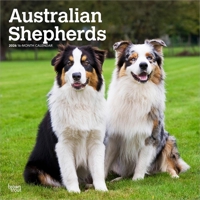 Australian Shepherds 2026 12 X 24 Inch (Hanging) Monthly Square Wall Calendar Plastic-Free B0DYLFHW3V Book Cover