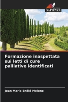 Formazione inaspettata sui letti di cure palliative identificati 620410392X Book Cover