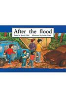 After the Flood (PM Story Books Green Level) 0763515337 Book Cover