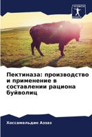 ?????????: ???????????? ? ?????????? ? ??????????? ? 620791659X Book Cover