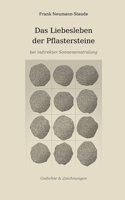 Das Liebesleben der Pflastersteine bei indirekter Sonneneinstralung (German Edition) 3695742445 Book Cover